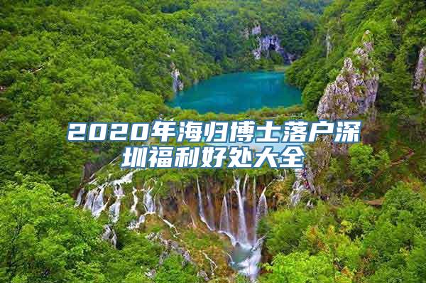 2020年海归博士落户深圳福利好处大全