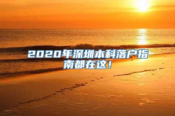 2020年深圳本科落户指南都在这！