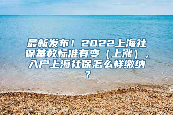 最新发布！2022上海社保基数标准有变（上涨），入户上海社保怎么样缴纳？