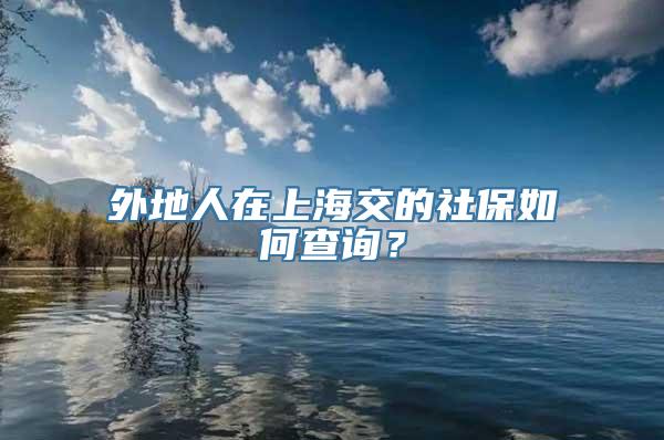 外地人在上海交的社保如何查询？