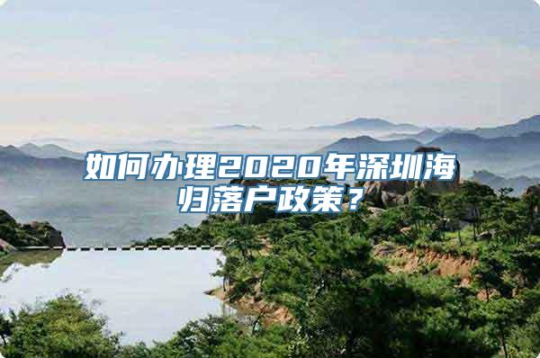 如何办理2020年深圳海归落户政策？