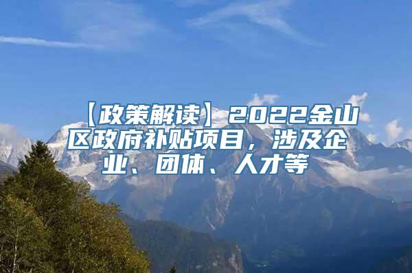 【政策解读】2022金山区政府补贴项目，涉及企业、团体、人才等