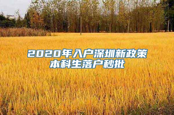 2020年入户深圳新政策本科生落户秒批