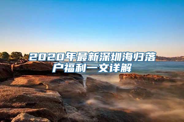 2020年最新深圳海归落户福利一文详解