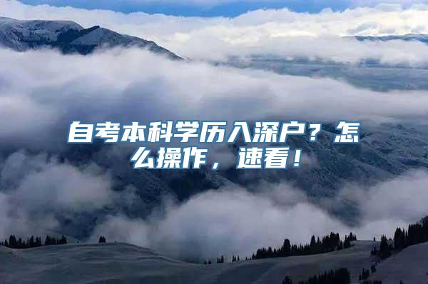 自考本科学历入深户？怎么操作，速看！