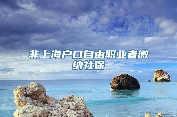 非上海户口自由职业者缴纳社保