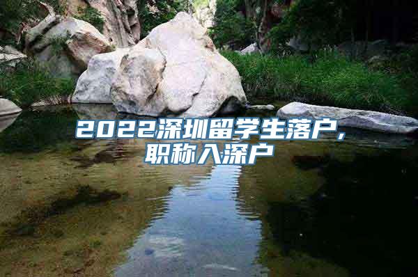 2022深圳留学生落户,职称入深户