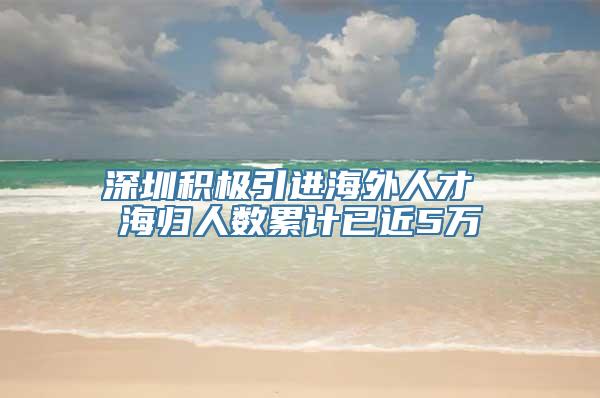 深圳积极引进海外人才 海归人数累计已近5万