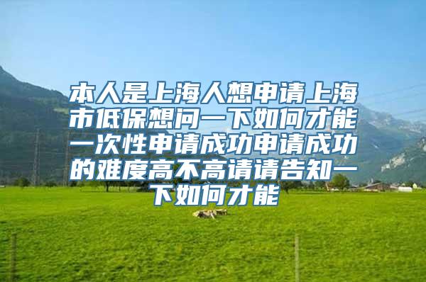 本人是上海人想申请上海市低保想问一下如何才能一次性申请成功申请成功的难度高不高请请告知一下如何才能