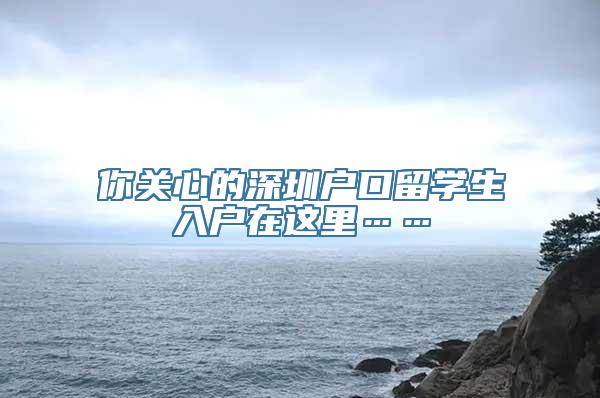 你关心的深圳户口留学生入户在这里……