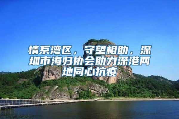 情系湾区，守望相助，深圳市海归协会助力深港两地同心抗疫