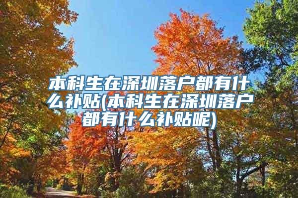 本科生在深圳落户都有什么补贴(本科生在深圳落户都有什么补贴呢)