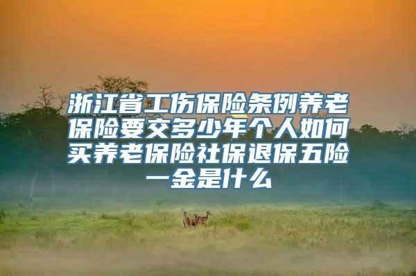 浙江省工伤保险条例养老保险要交多少年个人如何买养老保险社保退保五险一金是什么