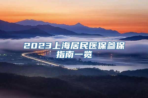 2023上海居民医保参保指南一览