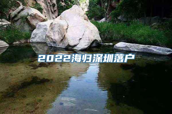 2022海归深圳落户