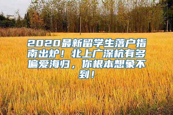 2020最新留学生落户指南出炉！北上广深杭有多偏爱海归，你根本想象不到！