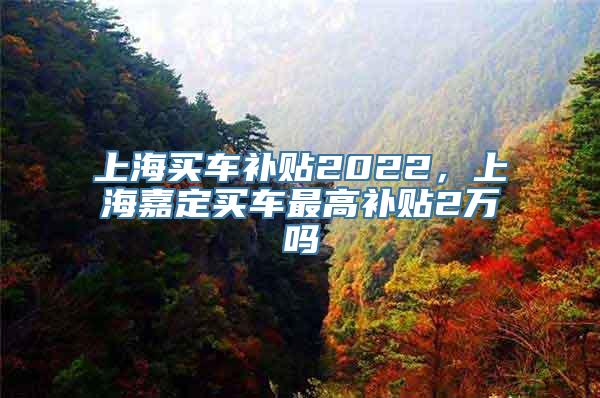 上海买车补贴2022，上海嘉定买车最高补贴2万吗