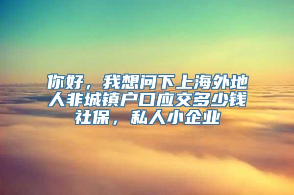 你好，我想问下上海外地人非城镇户口应交多少钱社保，私人小企业