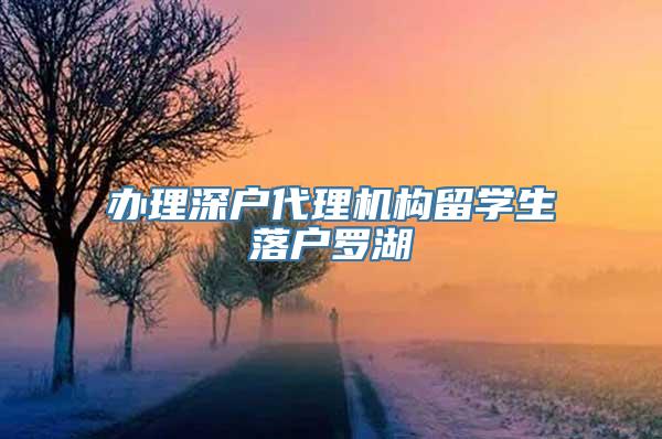 办理深户代理机构留学生落户罗湖