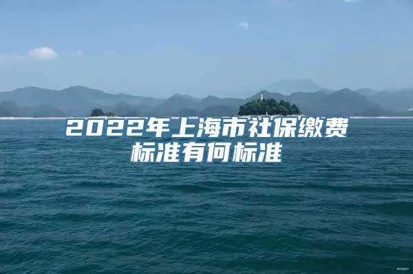 2022年上海市社保缴费标准有何标准