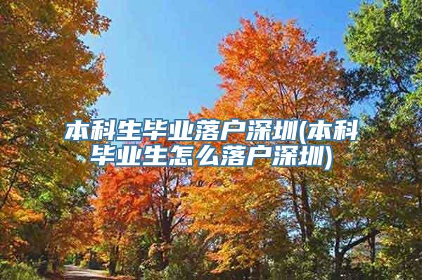 本科生毕业落户深圳(本科毕业生怎么落户深圳)