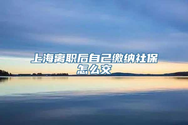 上海离职后自己缴纳社保怎么交