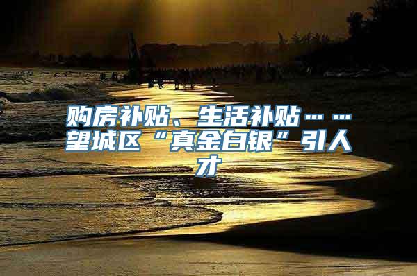 购房补贴、生活补贴……望城区“真金白银”引人才