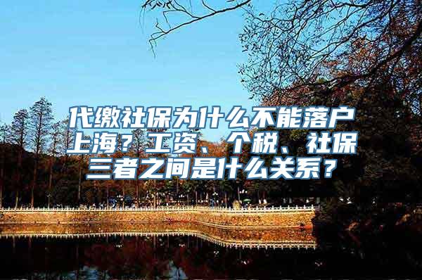 代缴社保为什么不能落户上海？工资、个税、社保三者之间是什么关系？