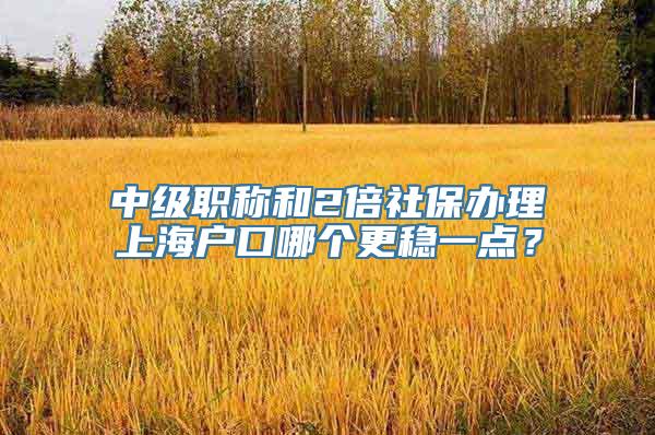 中级职称和2倍社保办理上海户口哪个更稳一点？