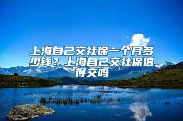 上海自己交社保一个月多少钱？上海自己交社保值得交吗