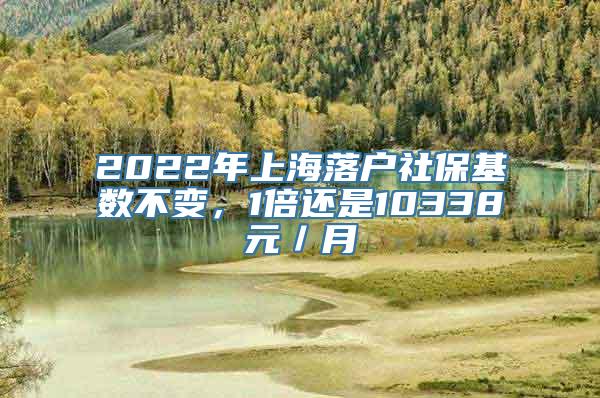 2022年上海落户社保基数不变，1倍还是10338元／月