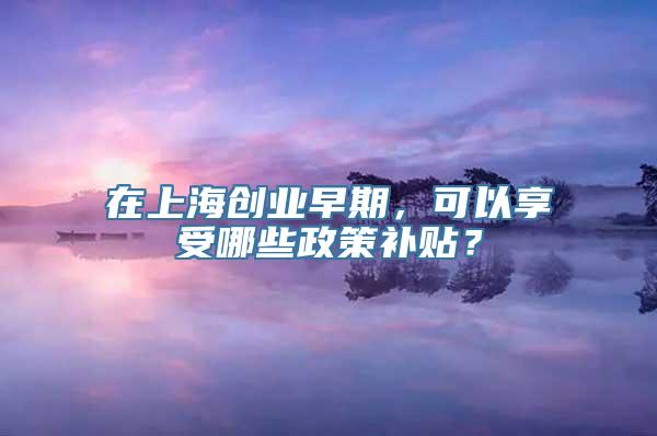 在上海创业早期，可以享受哪些政策补贴？