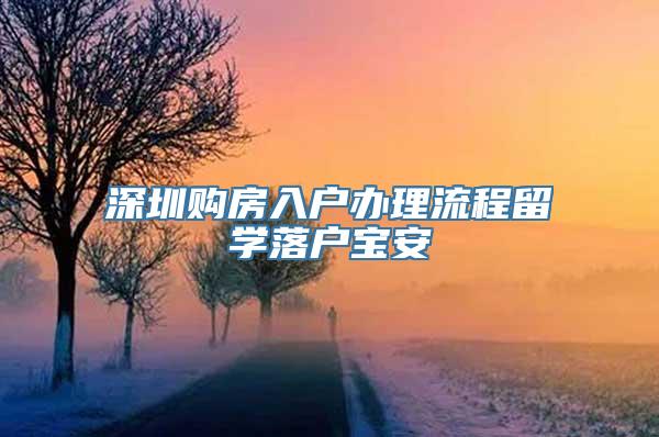 深圳购房入户办理流程留学落户宝安