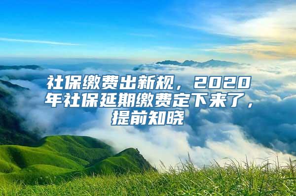 社保缴费出新规，2020年社保延期缴费定下来了，提前知晓