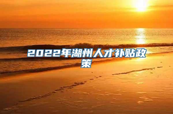 2022年湖州人才补贴政策