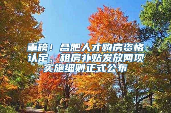 重磅！合肥人才购房资格认定、租房补贴发放两项实施细则正式公布