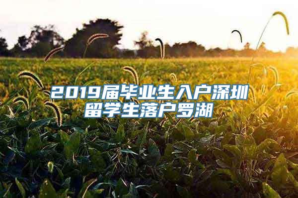 2019届毕业生入户深圳留学生落户罗湖