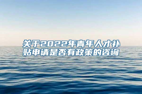 关于2022年青年人才补贴申请是否有政策的咨询