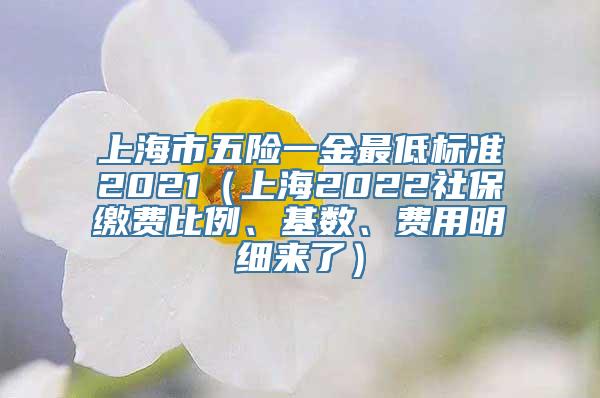 上海市五险一金最低标准2021（上海2022社保缴费比例、基数、费用明细来了）