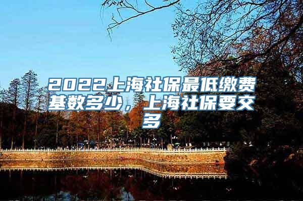 2022上海社保最低缴费基数多少，上海社保要交多