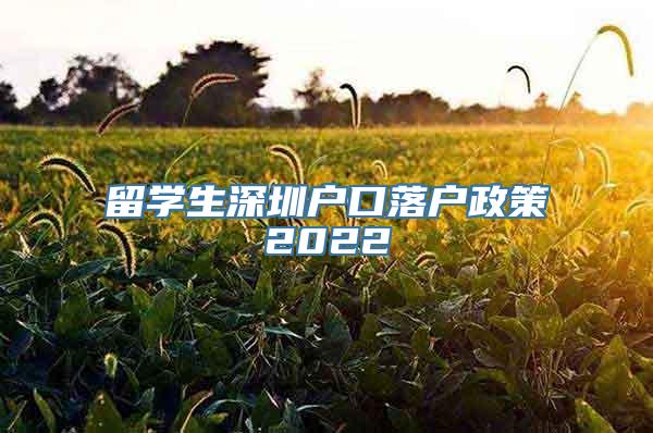 留学生深圳户口落户政策2022