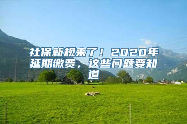 社保新规来了！2020年延期缴费，这些问题要知道