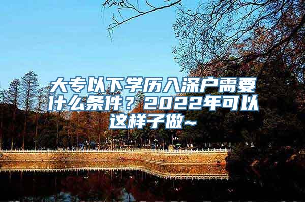 大专以下学历入深户需要什么条件？2022年可以这样子做~