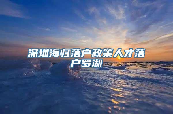 深圳海归落户政策人才落户罗湖