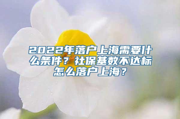 2022年落户上海需要什么条件？社保基数不达标怎么落户上海？