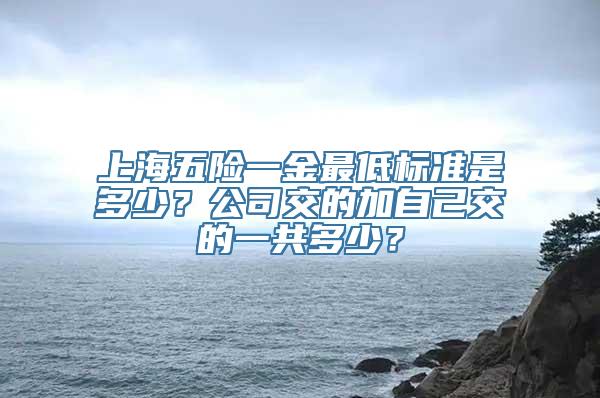 上海五险一金最低标准是多少？公司交的加自己交的一共多少？