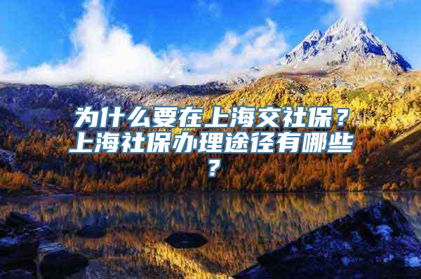 为什么要在上海交社保？上海社保办理途径有哪些？