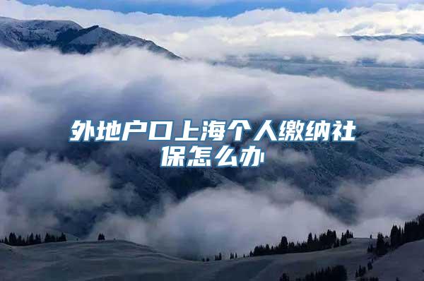 外地户口上海个人缴纳社保怎么办