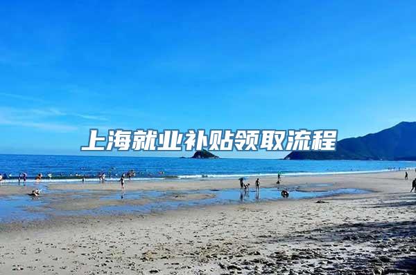 上海就业补贴领取流程