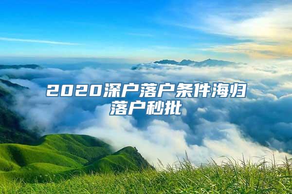 2020深户落户条件海归落户秒批